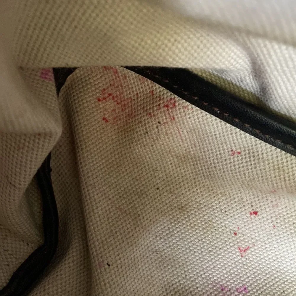 Coach shoulder bag with inside mini bag matching